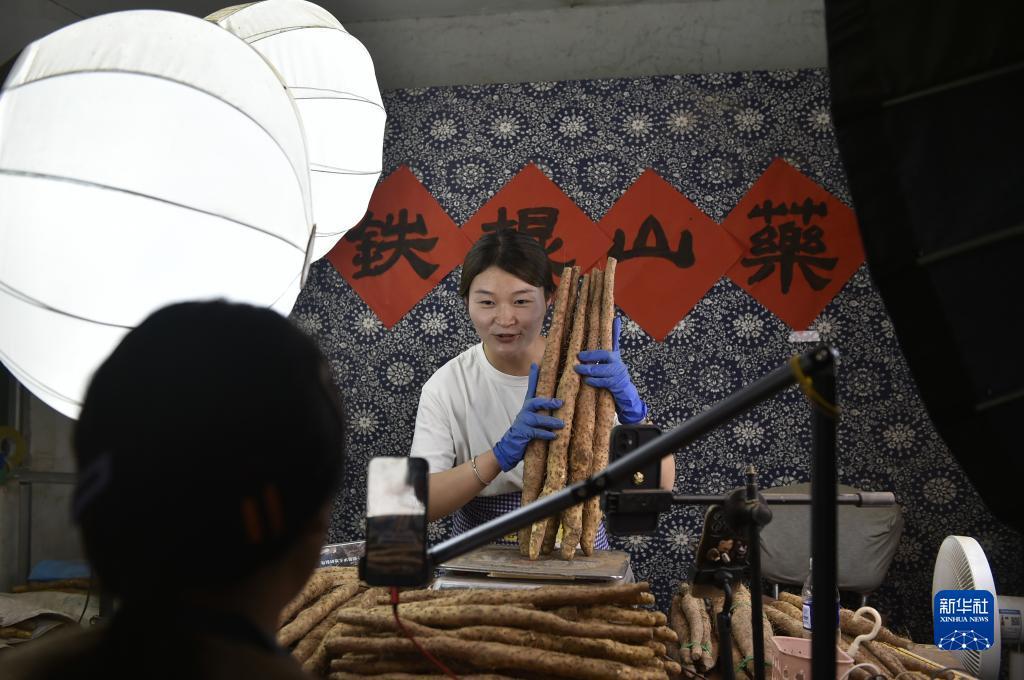 六狮王朝下载